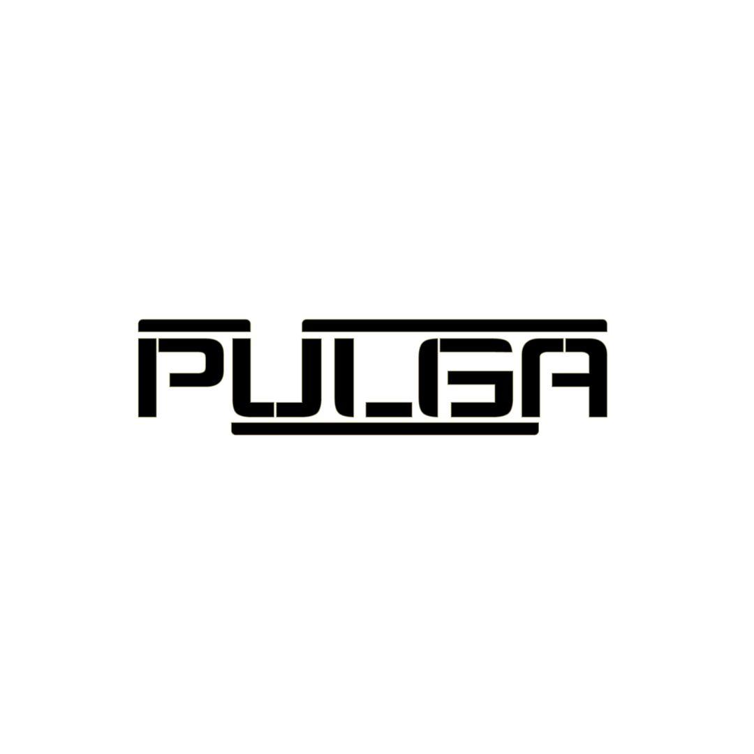 Dj pulga