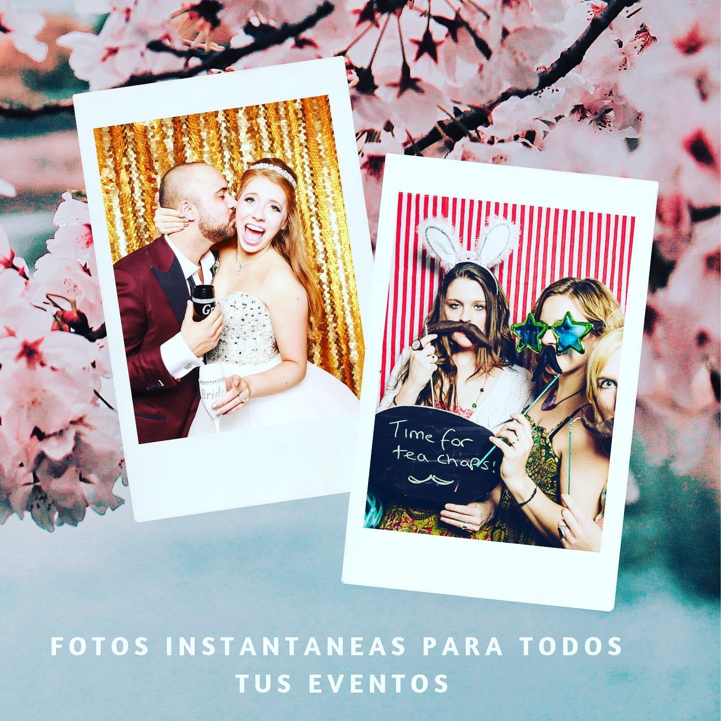 Spotlight Studio – foto 1