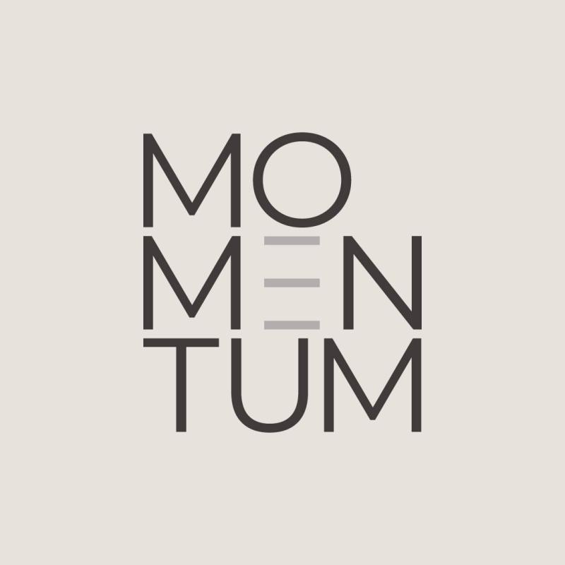 Momentum